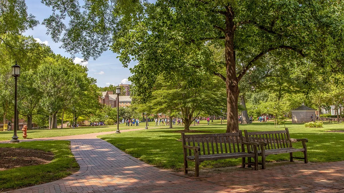 Johns Hopkins